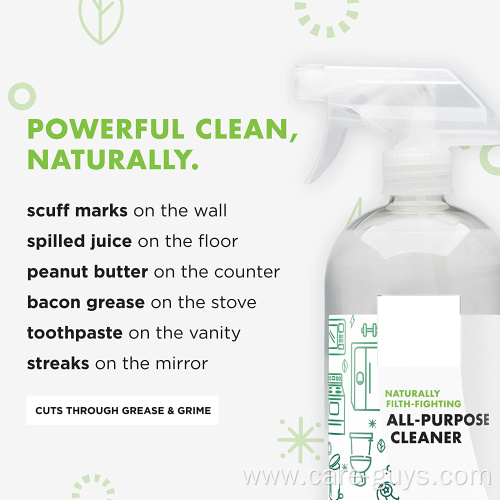 Professional OEM bulk eco friendly all purpose cleaner